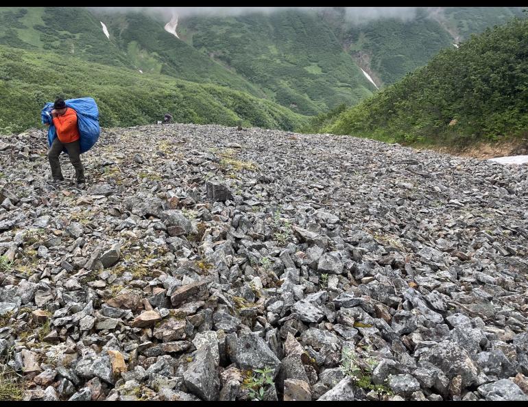 Adam Bucki hauls a load of trash from Fireweed rock glacier to the site where a helicopter will pick it up and haul it back to nearby McCarthy. He would later dispose of the trash in a sanitary landfill. Photo by Ned Rozell.