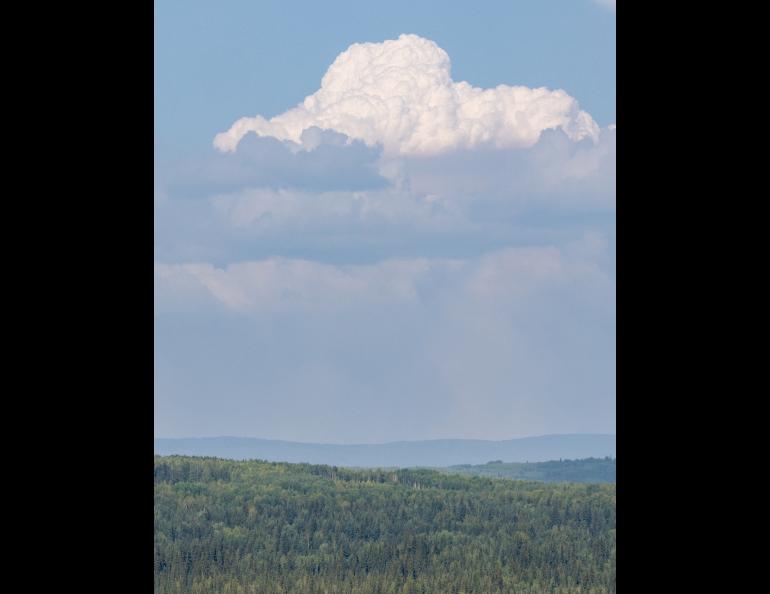 A fire plume rises north of Fairbanks on Aug. 4, 2023. Photo by Daniel Walker.