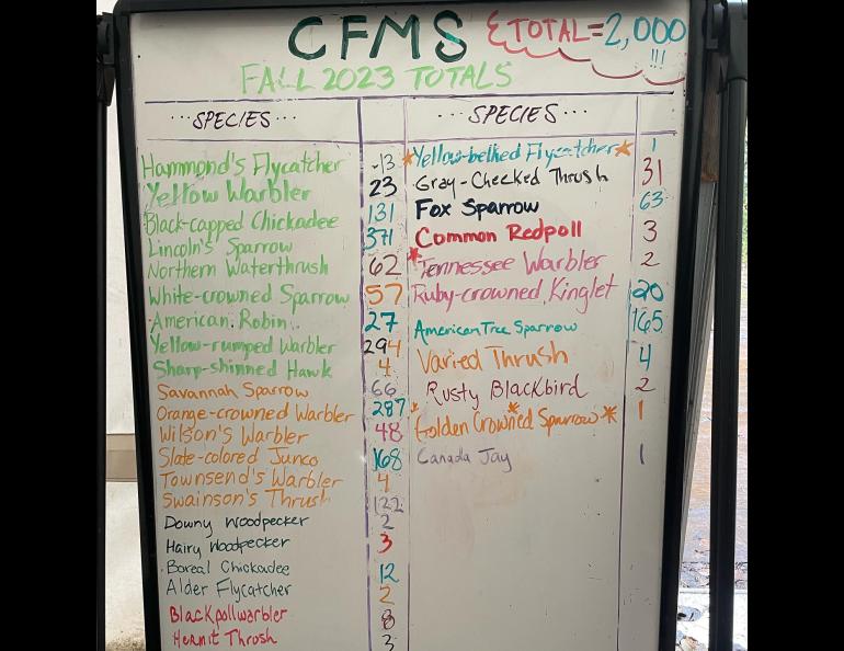 A whiteboard within a frame tent at Creamer's Field Migration Station shows the bird species captured by volunteer and professional biologists this fall in Fairbanks. Photo courtesy of Alaska Songbird Institute.
