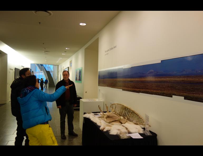 John Wright stands next to his 1979 panoramic photo of the Porcupine caribou herd in the University of Alaska Museum of the North. Photo by Ned Rozell.