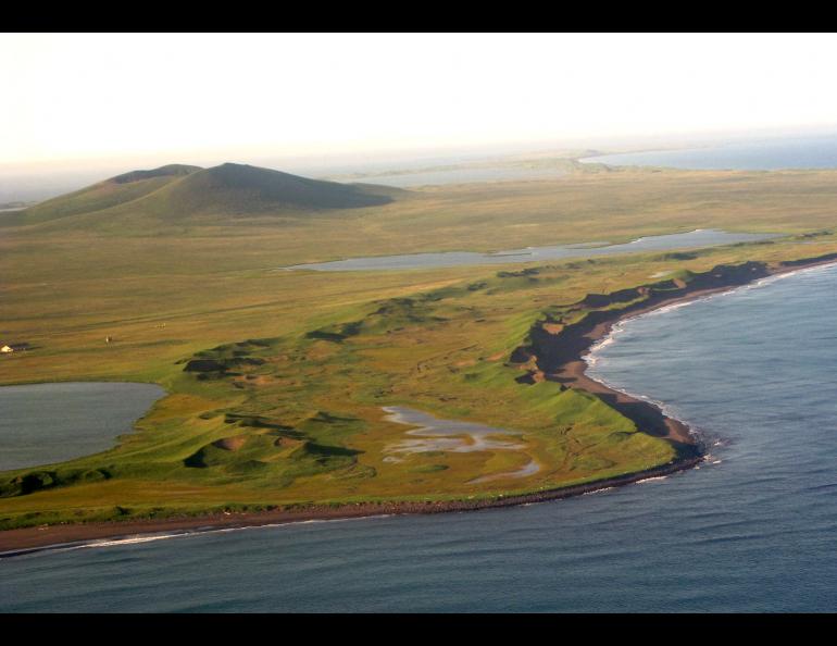 St. Paul Island in the Bering Sea. Photo by Ned Rozell.