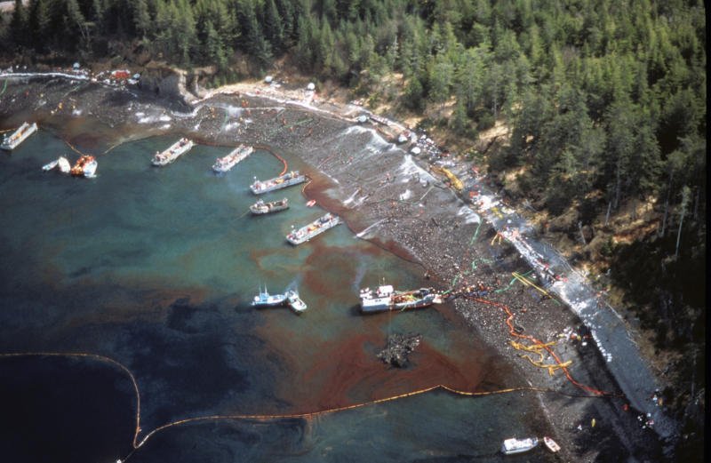 Oil Spill in harbor