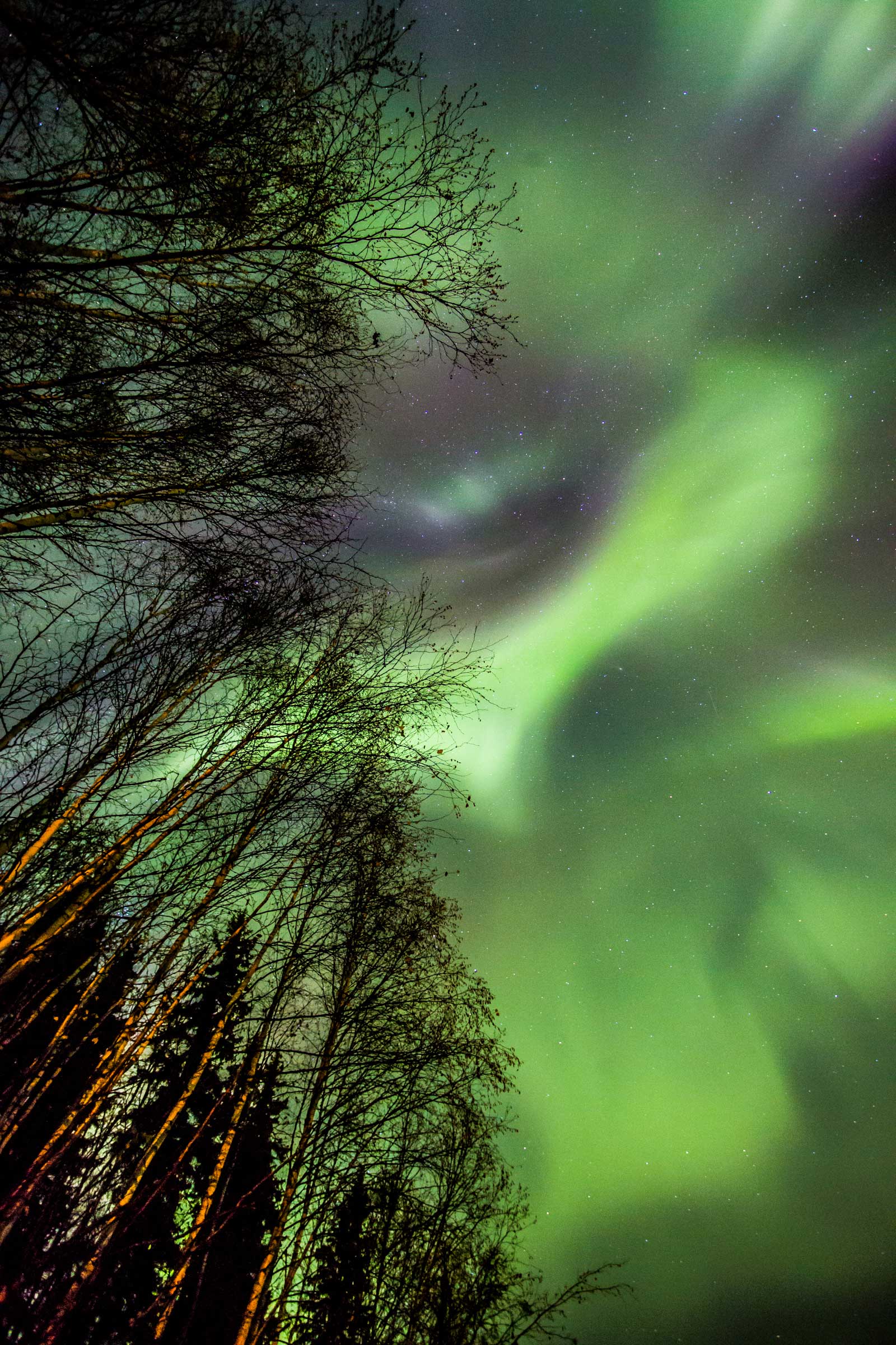 Aurora Forecast | Geophysical Institute