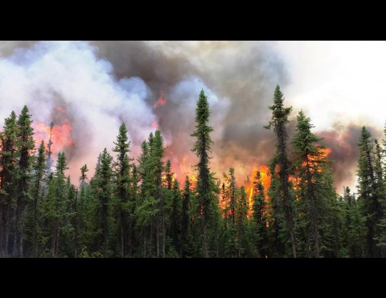 Photo by Holly Krake The Aggie Creek Fire burns northwest of Fairbanks during a busy wildfire season in 2015.