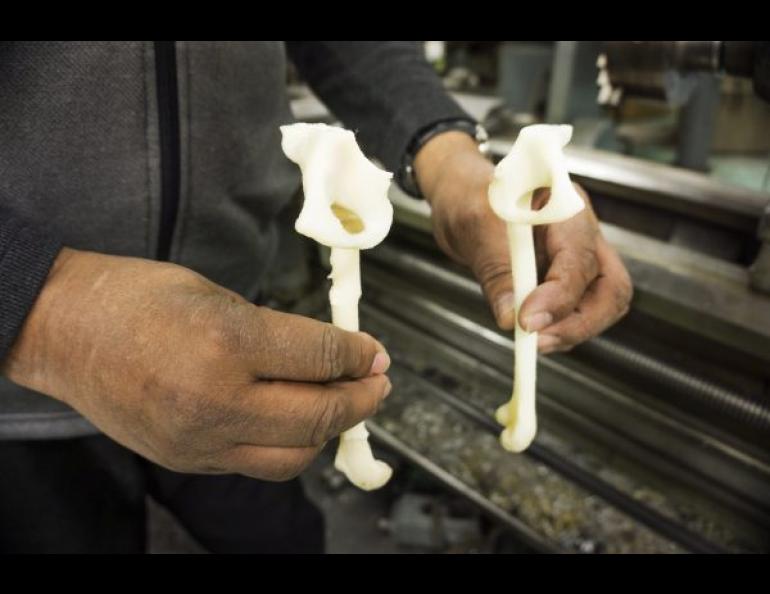 Greg Shipman of the Geophysical Institute holds 3-D printed, one-third scale models of the broken (left) and unbroken femurs of a 12-year-old boy. The GI Machine Shop made the models for Fairbanks Memorial Hospital. Geophysical Institute photo by LJ Evans.
