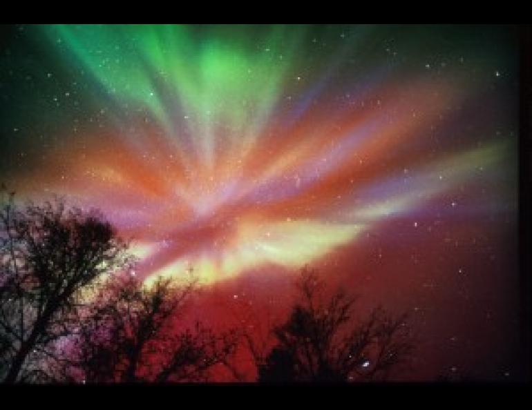 Auroral display. Photo by Jan Curtis, courtesy of the UAF Geophysical Institute.
