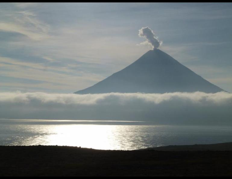 A vigorous steam plume rises from the summit of Mount Cleveland in the Islands of Four Mountains, Alaska, on Aug. 1, 2014. Photo by John Lyons, USGS.