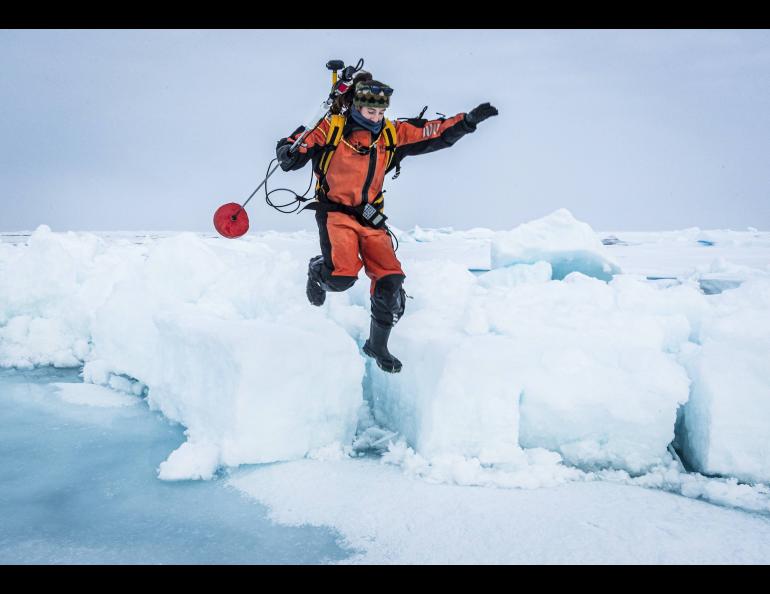 Melinda Webster jumps onto ice covering the edge of a melt pond in 2020 to begin taking measurements of its depth. Photo by Lianna Nixon