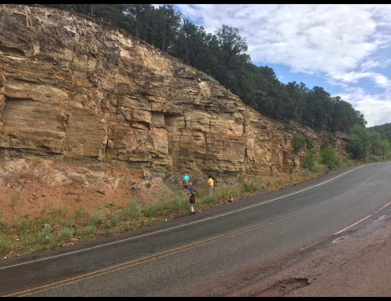 Geologists inspect an outcrop near the sample collection site. Photo courtesy Gunther Kletetschka
