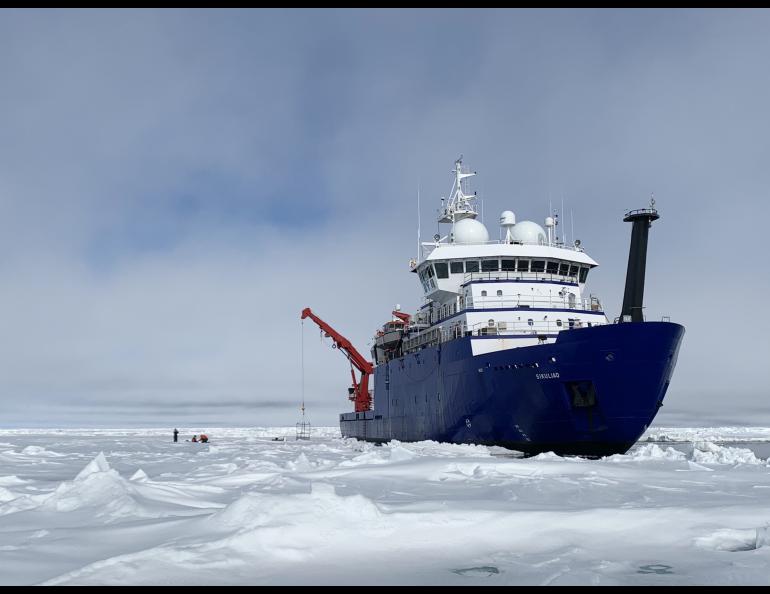 The Sikuliaq, a 261-foot ice-capable research vessel operated by UAF, pauses in the Arctic Ocean in June 2021 during its fifth year of operation. A few months later, it traveled farther north than ever before — almost 500 miles beyond Point Barrow. Photo by Ethan Roth