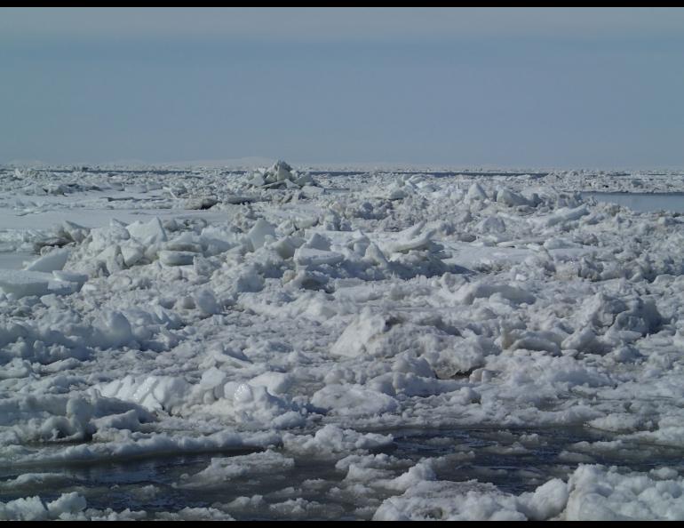 Deformed sea ice tops the coastal waters of the Bering Sea near Toksook Bay on April 20, 2013. Rapid ice drift in the Bering Sea is a hazard for fishing vessels. Photo by Hajo Eicken, UAF International Arctic Research Center