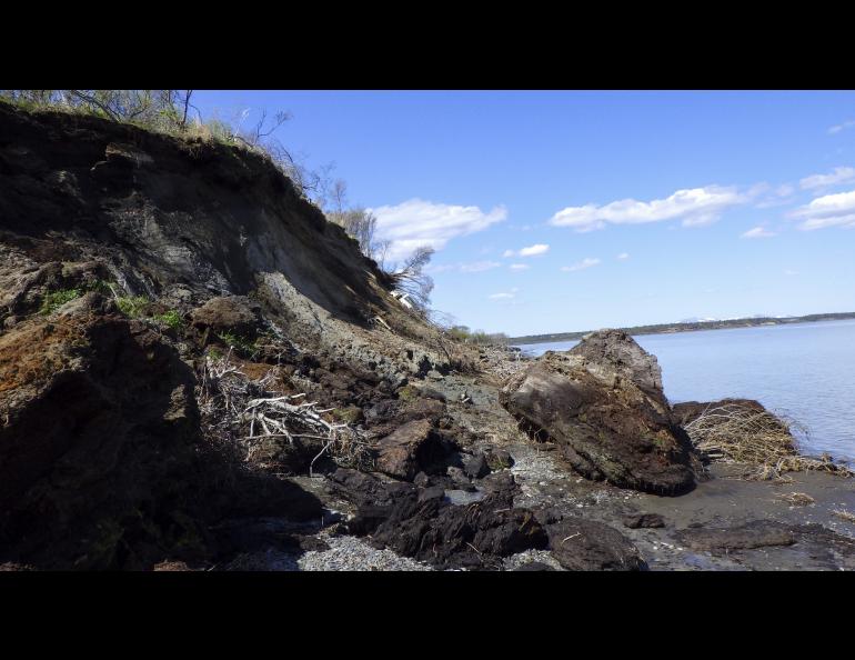 Kanakanak Beach erodes on May 28, 2021, in Dillingham, Alaska. UAF/GI photo by Chris Maio.