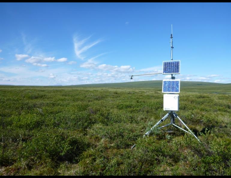 A data collection station sits at the Kuzitrin River ground temperature monitoring site on the Seward Peninsula, one of several sites in the Geophysical Institute Permafrost Laboratory’s monitoring network. Scientists have observed talik development at the site. Photo by Vladimir Romanovsky.