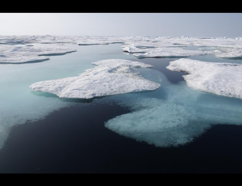 Photograph shows an Arctic Ocean melt pond that has melted through to open water. Photo by Melinda Webster