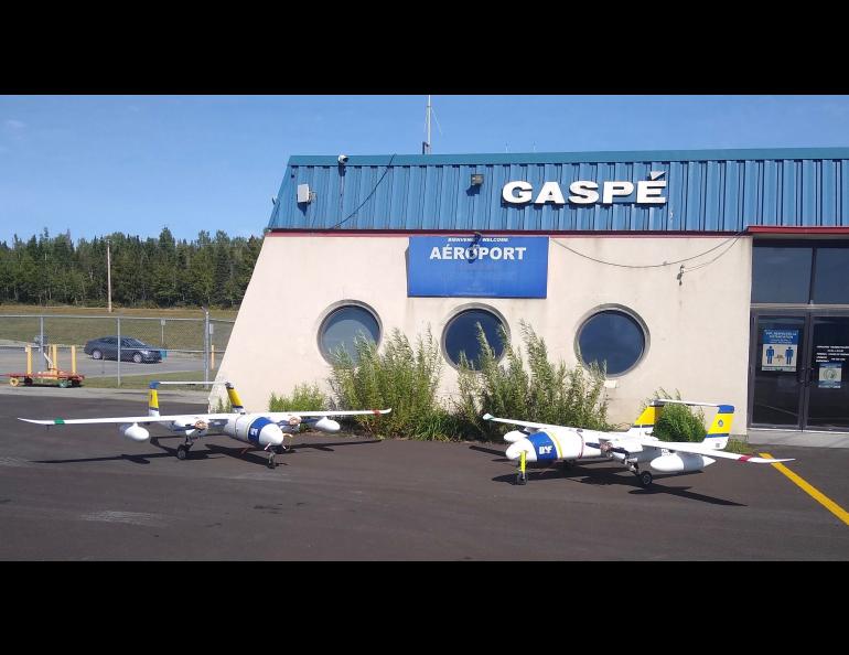 ACUASI sends its two SeaHunter aircraft to Canada, though only one flies during the whale mission. The two aircraft are shown at the Gaspé, Quebec, airport in 2020. Photo by Andrew Wentworth