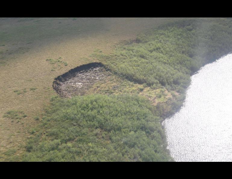 This medium-sized thaw slump in Canada’s Mackenzie River Delta is about 260 feet wide and with a headwall of about 10 to 15 feet. It formed closer to the lake, expanding upslope by many feet each summer. Photo by Simon Zwieback