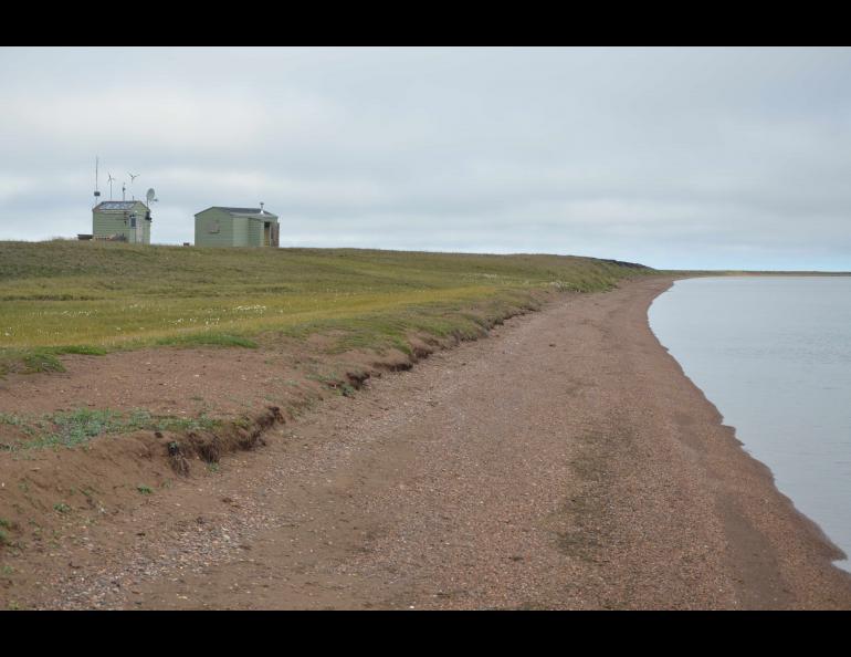 The rehabilitated Old NARL cabin on the northwestern shores of Teshekpuk Lake that serves as the base for the observatory. Photo by Ben Jones