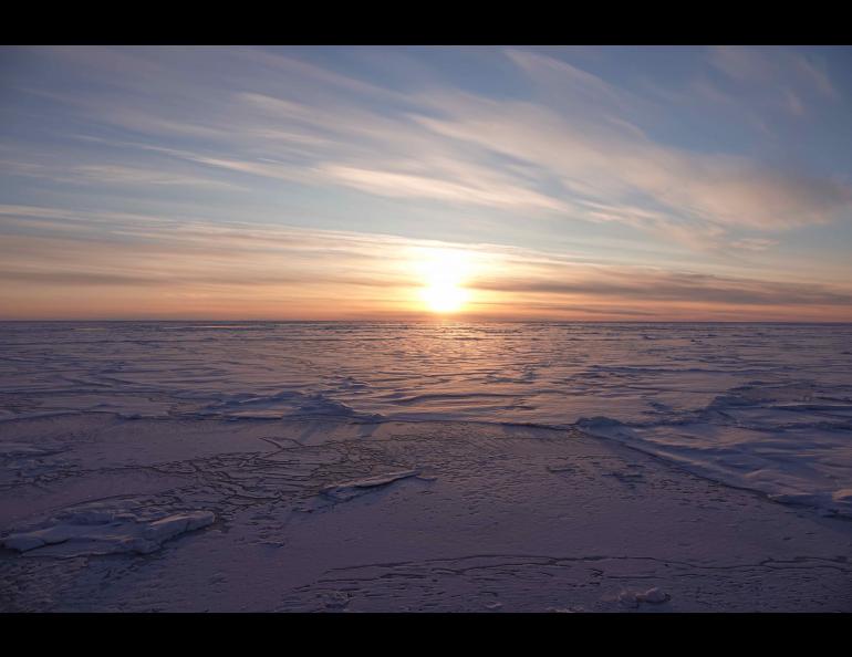 Sun reflects on the snow-covered Arctic sea ice, which has a variety of surface types. Photo by Melinda WebsterSun reflects on the snow-covered Arctic sea ice, which has a variety of surface types. Photo by Melinda Webster