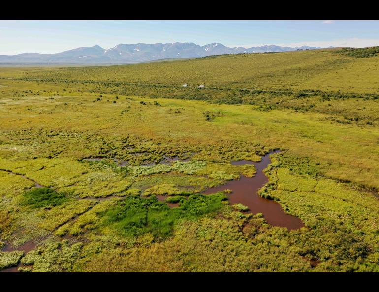 A small stream flowing left to right on the Seward Peninsula in western Alaska in August 2021 is dammed by beaver engineering. Shallow permafrost was measured adjacent to the nascent beaver pond. Photo by Ken Tape.