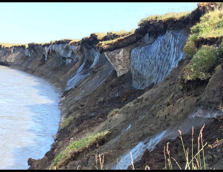 Permafrost stores large amounts of carbon that may be released to ecosystems and the atmosphere when permafrost thaws. These bluffs are on the bank of Alaska’s Canning River in 2019. USGS photo.