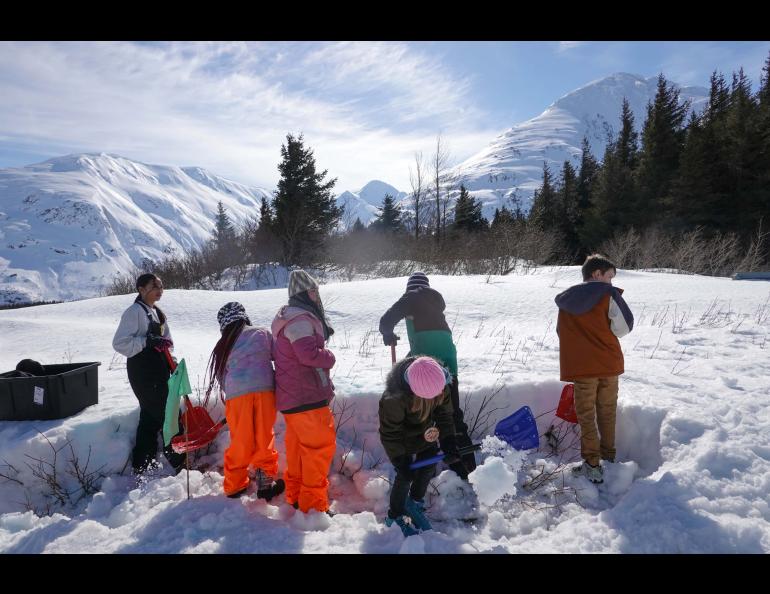 Students dig snow pits to learn about the different layers of the snowpack during the spring 2023 session of the Alaska Outdoor School. Photo by Serina Wesen.