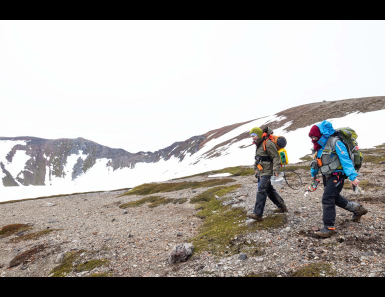 Graduate student researchers Claire Puleio left, and Valerie Wasser walk to another location to test for CO2 gas along Mt. Edgecumbe's summit, Wednesday, June 7, 2023, on Kruzof Island. UAF/GI photo by JR Ancheta.