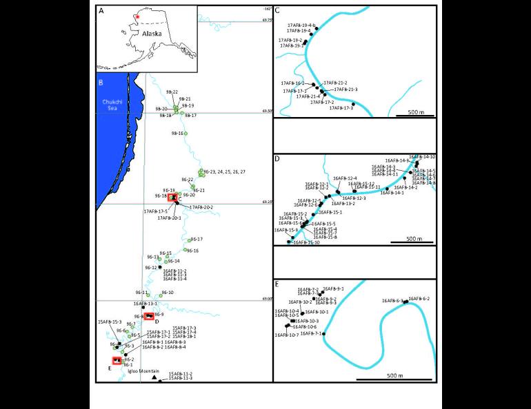  A map shows locations of dinosaur tracks and fossilized tree trunks and other plant life found along the Kukpowruk River. Image courtesy of Anthony Fiorillo