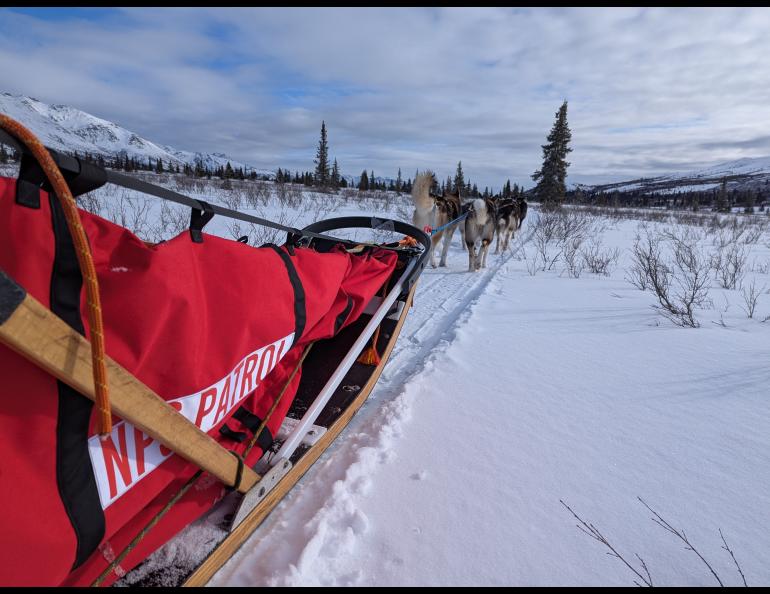 Three dog teams driven by National Park Service rangers traveled with UAF doctoral student Kaytan Kelkar for his research in March. The trip was to have been three days by dog team but was cut short by a possible federal government shutdown. Photo courtesy of Kaytan Kelkar