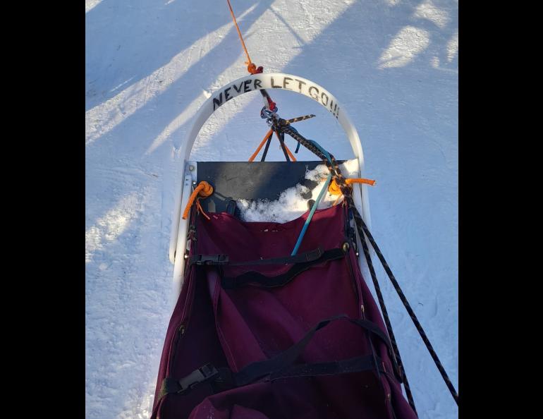 UAF doctoral student Kaytan Kelkar says he fell off the sled “five or six times” but held on. Photo courtesy of Kaytan Kelkar