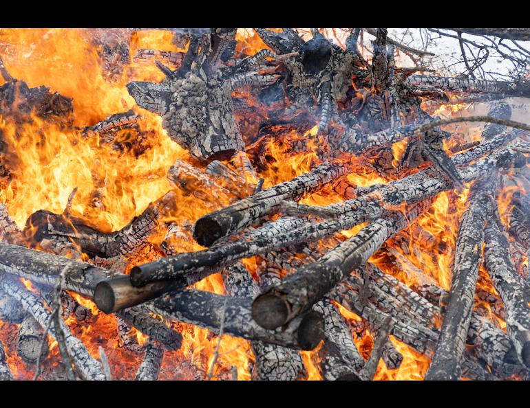 Wood and brush burn in controlled and monitored fire along the Wildfire Walk trail through the Yankovich Road Fire Site on the UAF Troth Yeddha’ campus April 14, 2025. UAF photo by Eric Engman