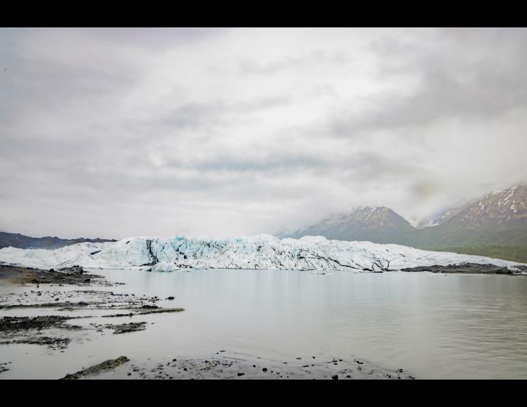 Matanuska Glacier, about 100 miles northeast of Anchorage, terminates in a lake in June 2024. UAF photo by Leif Van Cise