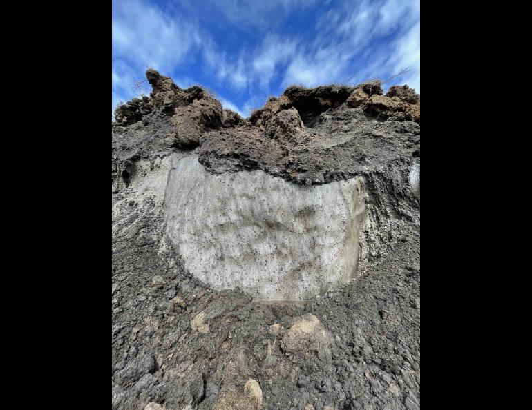 The exposed side of an ice wedge is visible on this eroded slope at Point Lay in June 2022. UAF photo by Benjamin Jones
