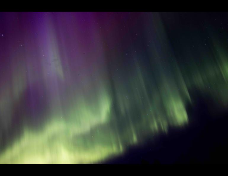 The aurora shines over Fairbanks on Oct. 5, 2024. Photo by Bryan Whitten