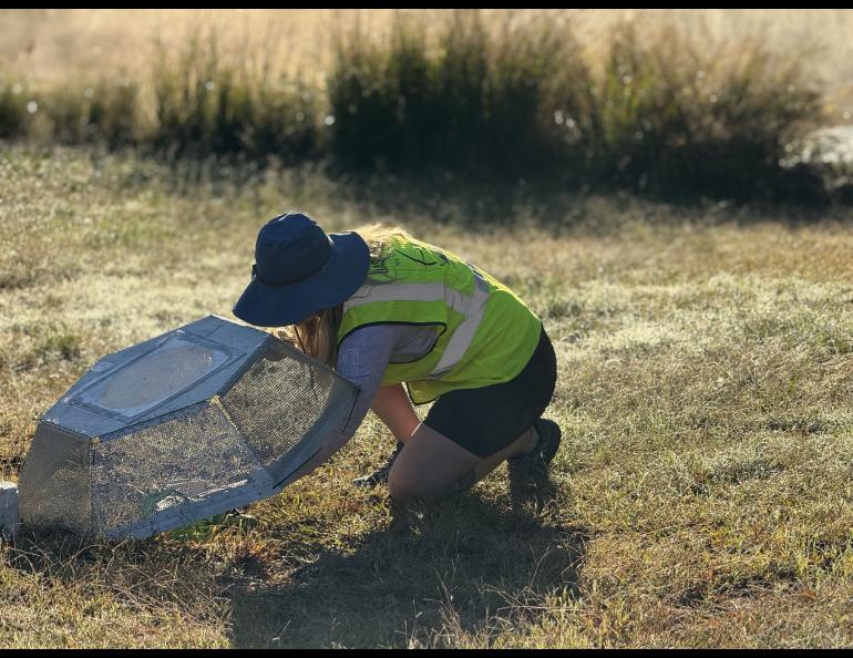 Joanne Heslop, an engineer with the Wilson Alaska Technical Center, kneels in a grassy field wearing a wide-brim hat and high-visibility vest as she places a mesh-covered instrument on the ground during a 2025 drone testing program in Mississippi.