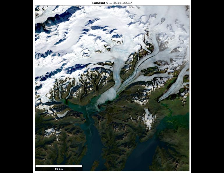  A satellite image shows Columbia Glacier on Sept. 17, 2025, with bright white ice fields flowing through rugged, dark mountains and branching into long glacier tongues that end in a blue-green fjord.