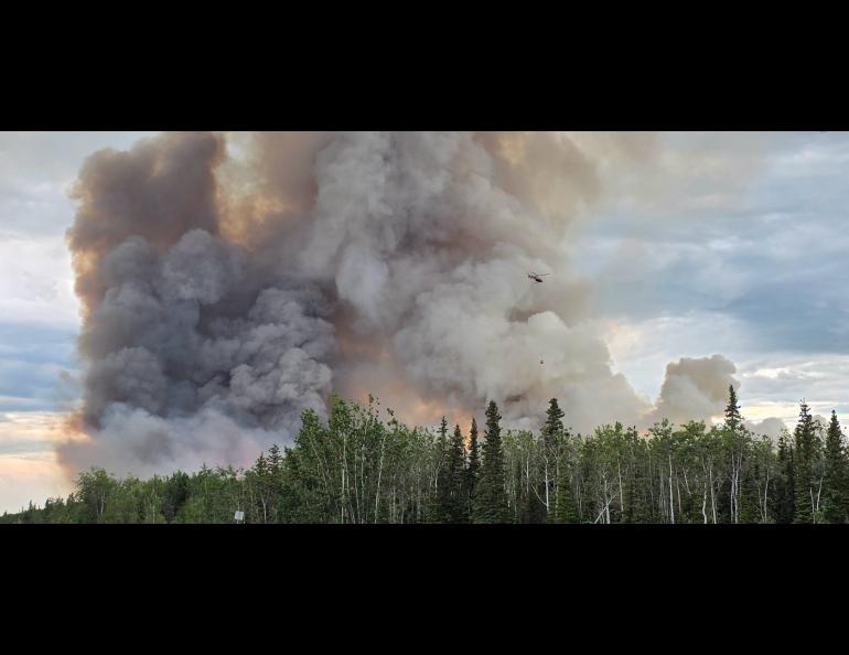 A helicopter carrying a water bucket flies beside a massive plume of gray and brown smoke rising above a forest from the lightning-caused Starry Fire, which started June 20 near Anderson.