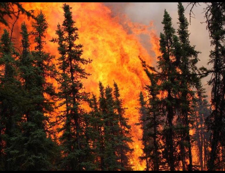 Fire in a boreal forest in Alaska. USGS photo by Scott Rupp.