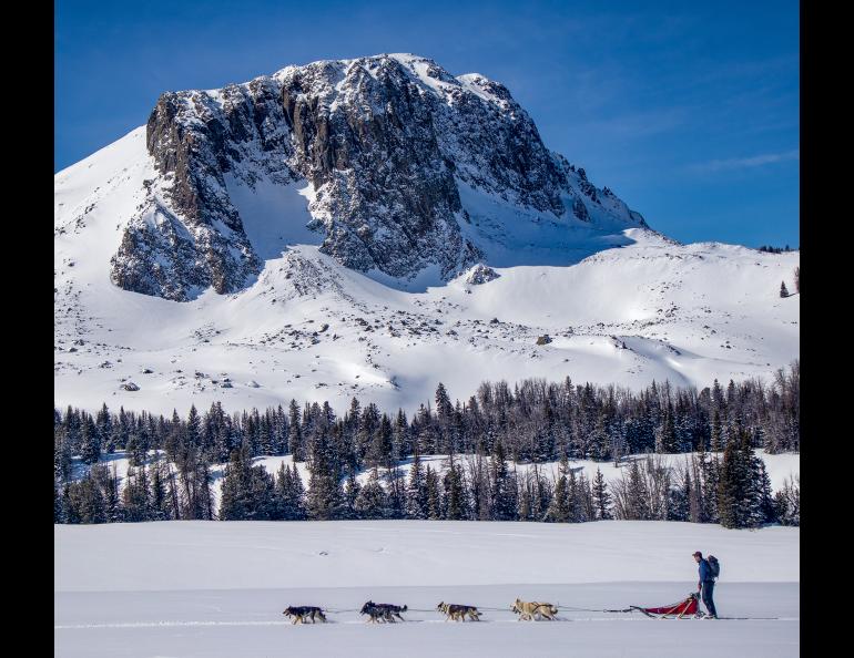 Roddewig mushing with his team at around 9,000 feet at Black Butte in southwest Montana on a back country cabin trip. Photo courtesy Michael Roddewig
