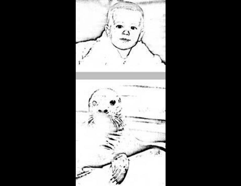Picture of a human child and a seal.