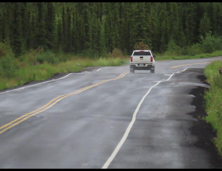 a white truck drives down a bumpy asphalt road in the middle of a dark green spruce forest