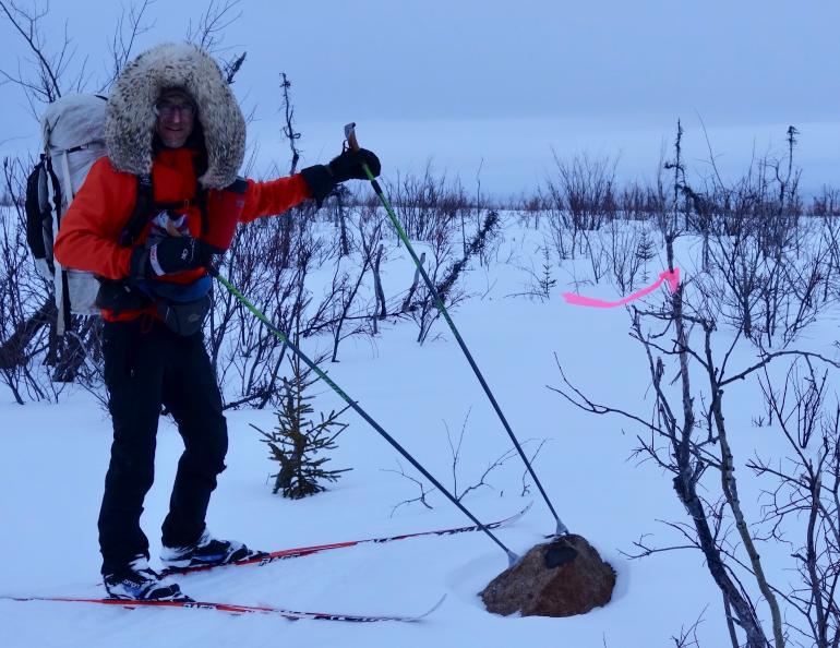 Bob Gillis inspects a rock protruding from near the Iditarod trail near its halfway point in southwest Alaska. Photo by Ned Rozell.