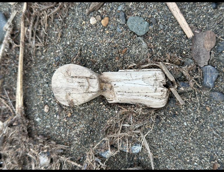 Human figurines with limbless bodies like this one are common finds at Nunalleq. Some were used as toys, while others were used as protective charms or in religious observances. Photo by Alice Bailey.