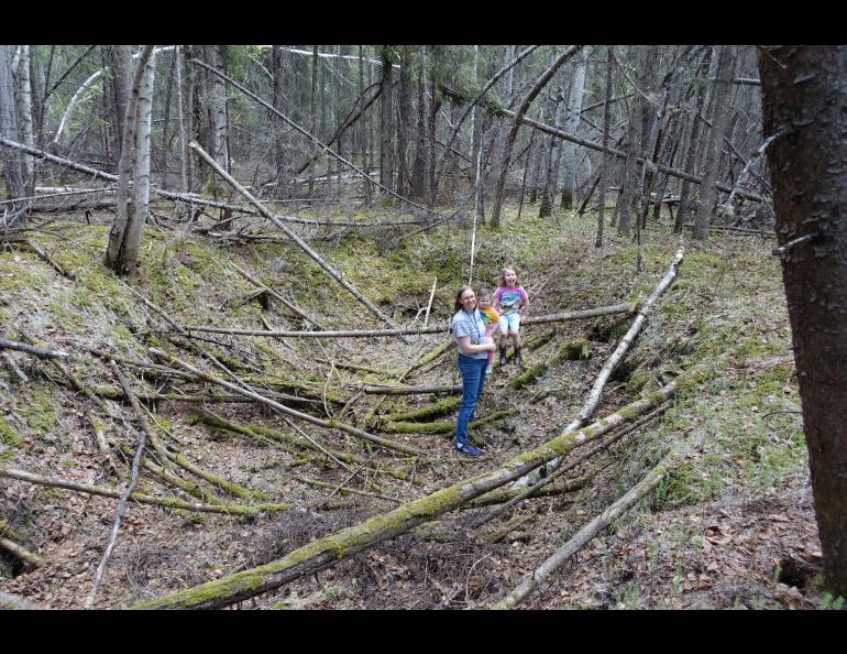 Leanne Bulger stands holding her daughter Violet, 2, next to Rose, 6, within a sunken thawed-permafrost feature called a thermokarst in the boreal forest on the University of Alaska Fairbanks campus on May 22, 2024. Photo by Ned Rozell.