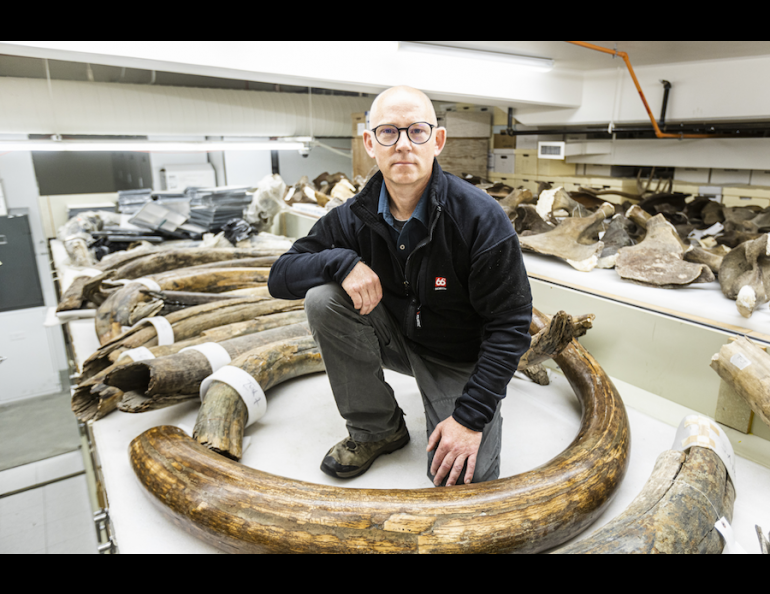 Matthew Wooller of the University of Alaska Fairbanks poses amid woolly mammoth tusks at the university. Photo by JR Ancheta.