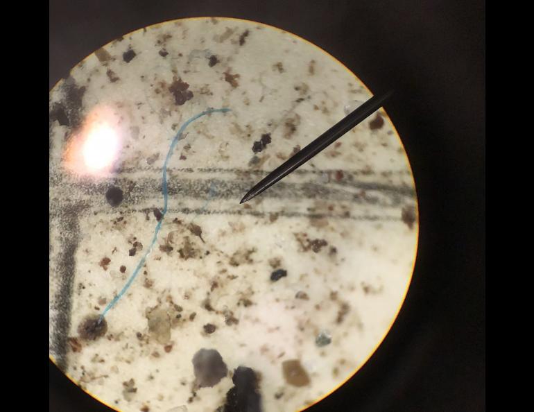 A tiny blue plastic fiber that fell within a raindrop in the Thane area of Juneau, Alaska. The view is of filter paper that captured the plastic fiber, as viewed through a microscope. Photo courtesy Sonia Nagorski.