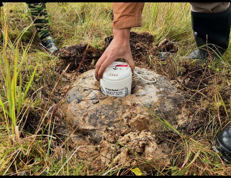 A seismic sensor resting in a “mud pie” on Kodiak Island in September 2025. Photo by Cade Quigley