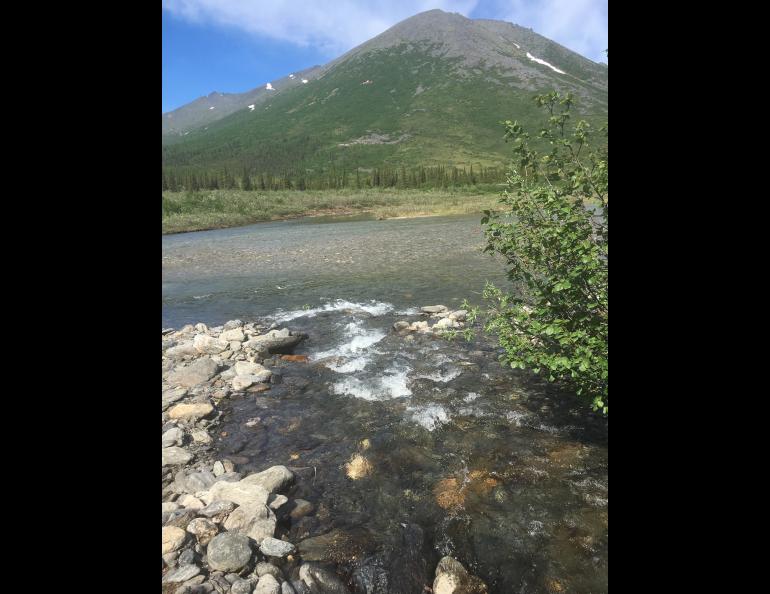 A tributary of the Akillik River in Kobuk Valley National Park in 2017 before it turned rusty orange. Photo by Jon O’Donnell.