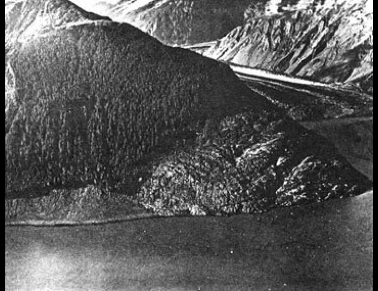 Headland beside the Lituya Glacier that was swept clean of soil and trees to a height of 1740 feet by the giant splash wave. The icebergs seen in the water of Lituya Bay, foreground, were knocked off the glacier by the landslide falling into the bay from a slope to the right of the photograph. Photo by Byron Hale.