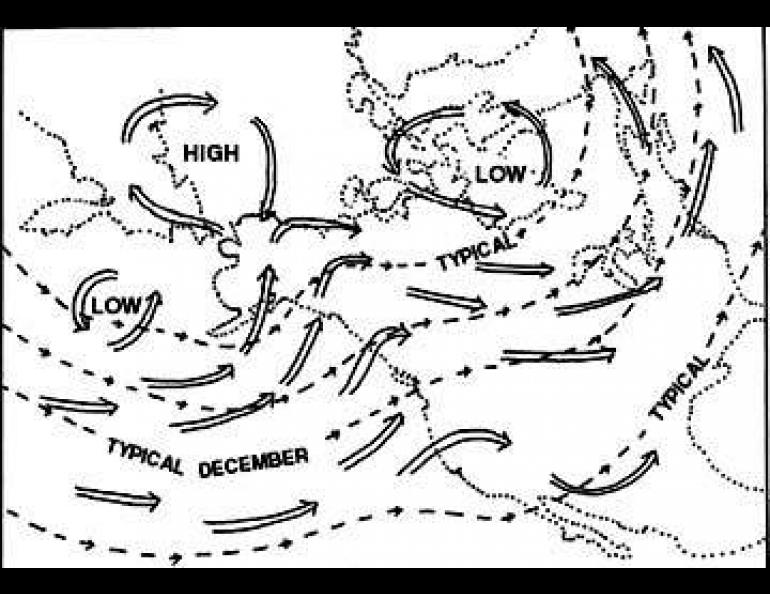 Key to Unusual 1976 Winter: Typical December air flow (small dashed arrows) has been pushed northward by a persistent pressure pattern fixed over the west coast of North America. Heavy arrows show the average December 1976 flow.