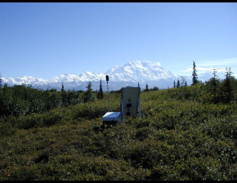  Denali National Park Ecologist Shan Burson has recorded the park's "soundscape" for the past few years. His recorder is set up here on a hill southeast of Wonder Lake. NPS photo, Shan Burson 